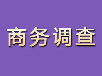 普兰店商务调查